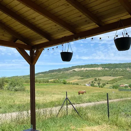 Tiny Shelter In Valea Fanatelor, Napoca Cluj-Napoca