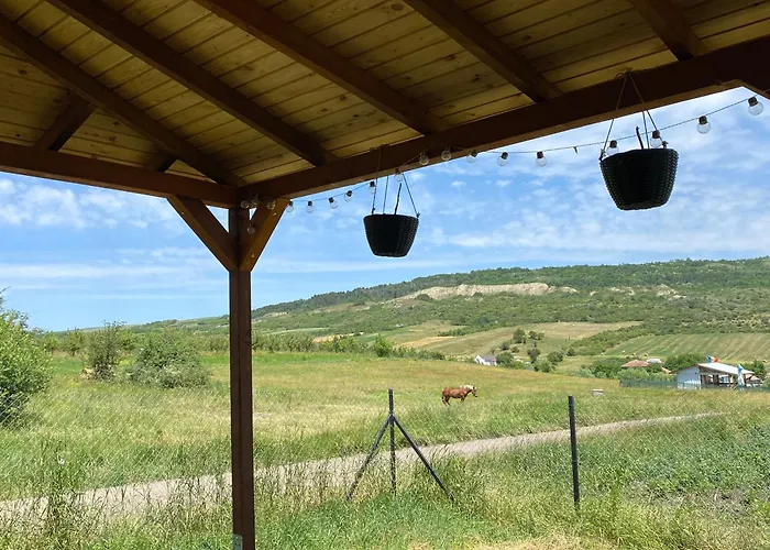 Tiny Shelter In Valea Fanatelor, Napoca 클루지나포카